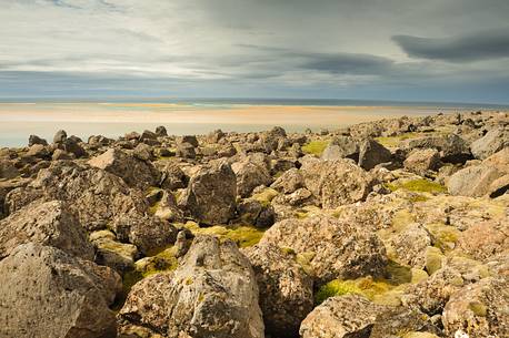 volcanic rocks covered with moss reach the sea