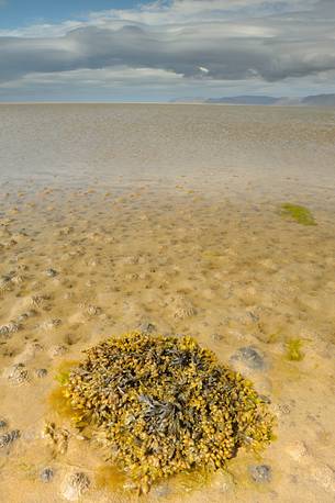 the beauty of the beaches of Iceland