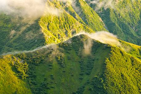 mists rise from the green pastures after a sumeer storm