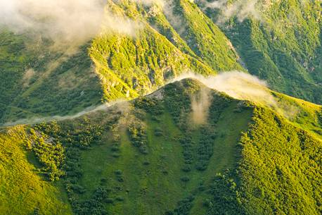 mists rise from the green pastures after a sumeer storm