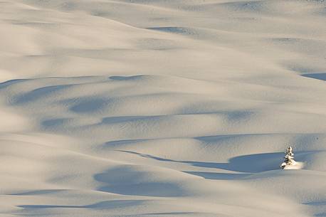 Lights and shadows chasing each other in the highlands covered with snow