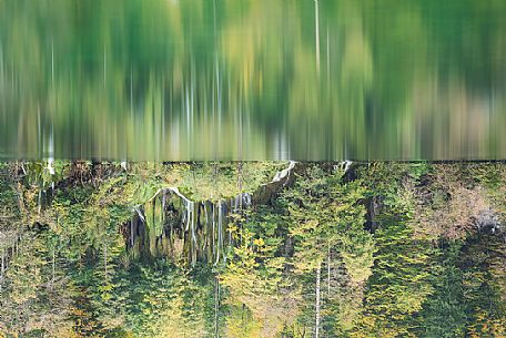 A abstract vision of the forest and lakes in the Plitvice national park, colors of autumn gives some kind of magic mood in the forest, Dalmatia, Croatia, Europe