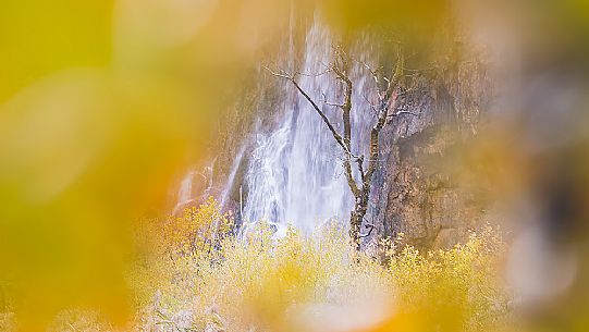A abstract vision of the colorful autumn forest in the Plitvice lakes national park, Dalmatia, Croatia, Europe