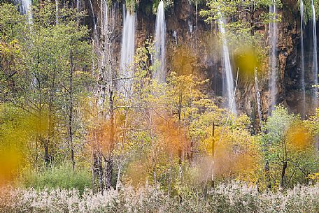 A abstract vision of the colorful autumn forest in the Plitvice lakes national park, Dalmatia, Croatia, Europe