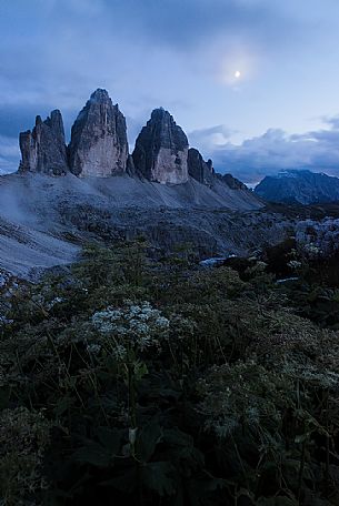 Moonlight on the Tre Cime di Lavaredo peaks in a summer evening, dolomites, Trentino Alto Adige, Italy, Europe