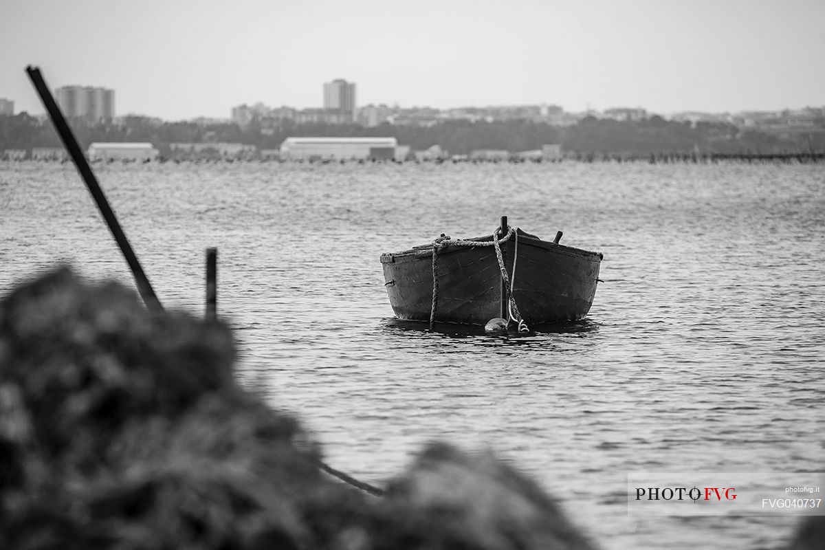 Fisherman's boat at berth, Taranto port, Apulia, Italy, Europe