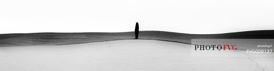 b&w minimal landscape near pienza in tuscany