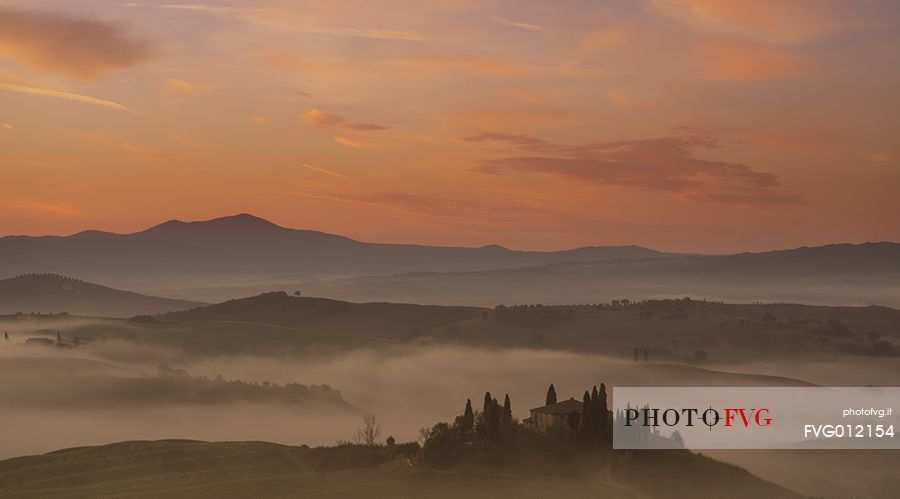 sunset over cypres in toscana