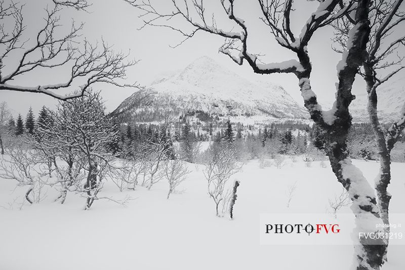 Lofoten islands after a snowfall, Norway