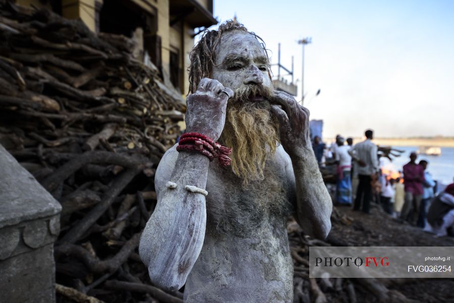 Sadhu, Holi man on the banks of the Ganges, Varanasi, Uttar Pradesh, India