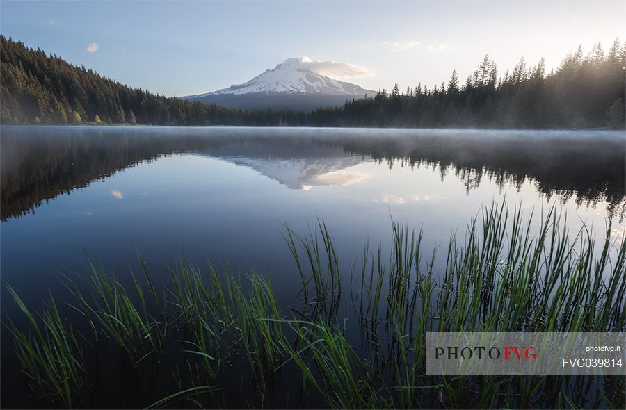 Trillium Lake with view towards Mount Hood, Mount Hood National Forest, Oregon, USA