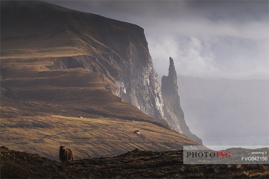 Stack Trollkonufingur in Vagar island, Sandavagur, Faroe islands, Denmark, Europe