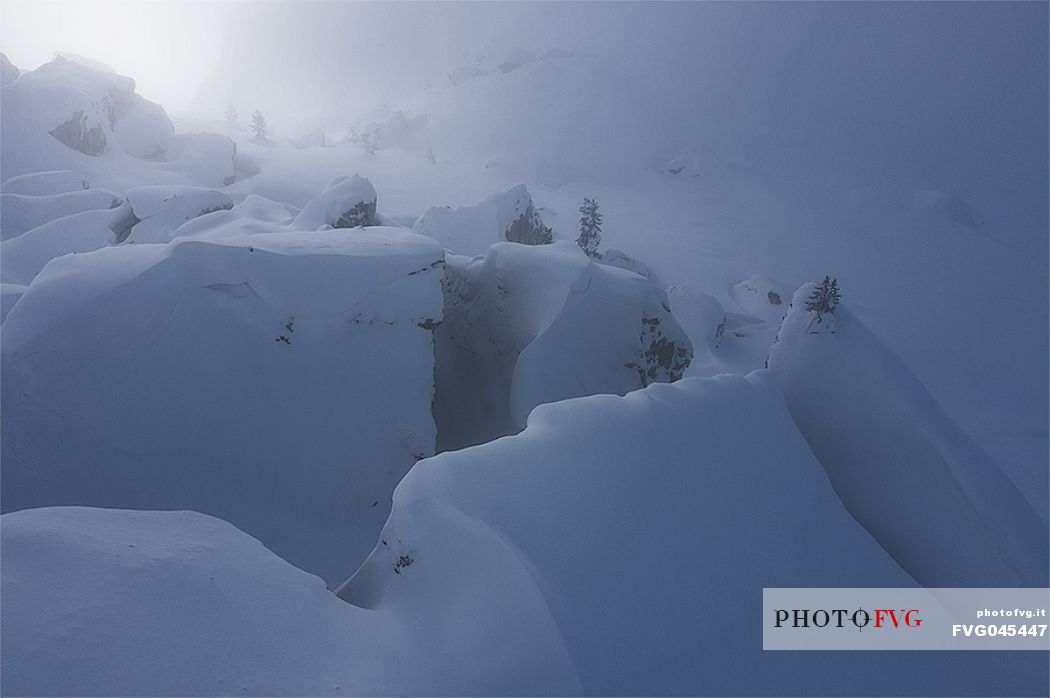 Wild landscape in the snow storm, Cortina d'Ampezzo, Dolomites, Italy, Europe