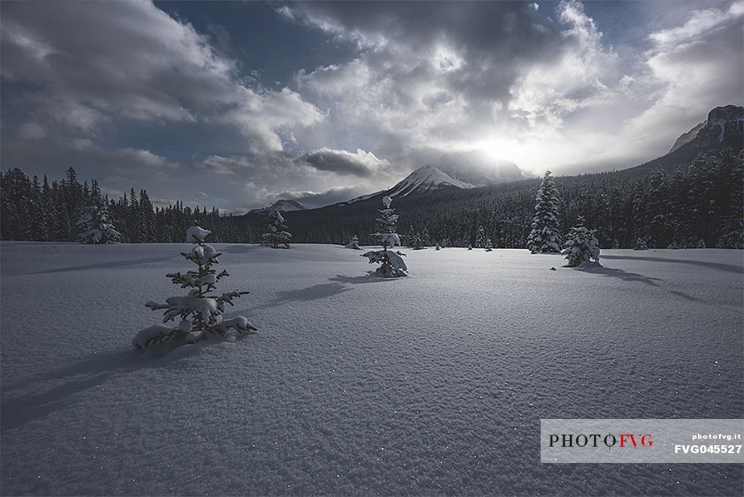 Winter in the Rocky mountain. Banff National Park, Alberta, Canada