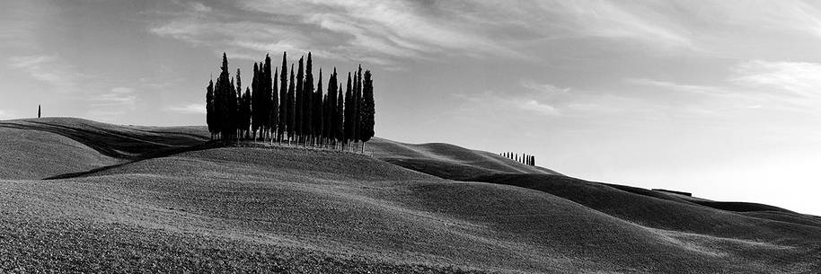cypress panorama over san quirico d'orcia 