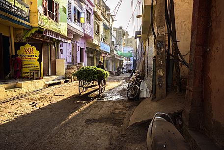 door to door worker in Jojawar, Rajasthan, India