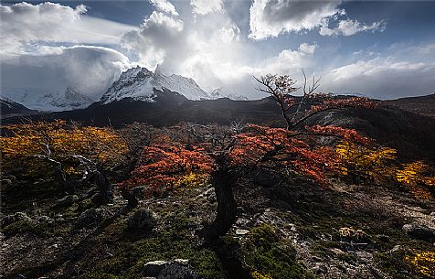 Autumnal landscape of Fitz Roy Mountain Range, Los Glaciares National Park, Patagonia, Argentina Autumnal landscape of Fitz Roy Mountain Range, Los Glaciares National Park, Patagonia, Argentina