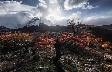 Autumnal landscape of Fitz Roy Mountain Range, Los Glaciares National Park, Patagonia, Argentina