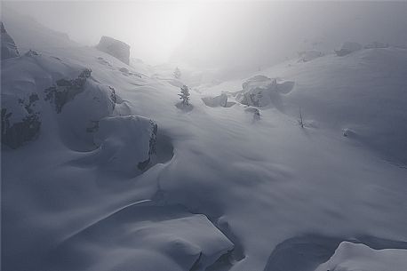 Wild landscape in the snow storm, Cortina d'Ampezzo, Dolomites, Italy, Europe