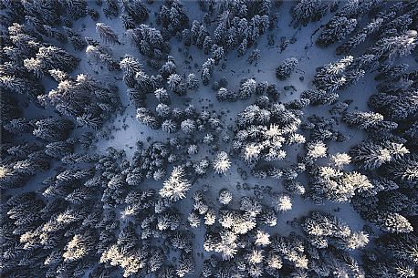 Aerial photo of the forest in the Dolomites, Cortina d'Ampezzo, Veneto, Italy, Europe