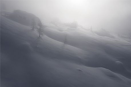 Wild landscape in the snow storm, Cortina d'Ampezzo, Dolomites, Italy, Europe