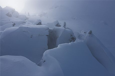 Wild landscape in the snow storm, Cortina d'Ampezzo, Dolomites, Italy, Europe