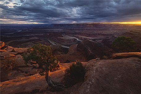 Above view of Colorado River gooseneck and Potash Road, Canyonlands National Park, Utah, USA