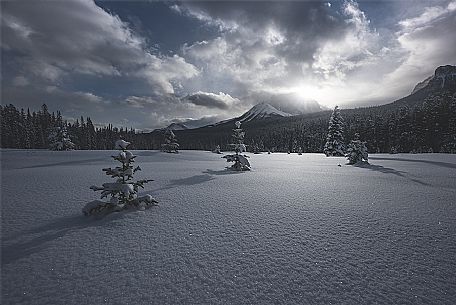 Winter in the Rocky mountain. Banff National Park, Alberta, Canada