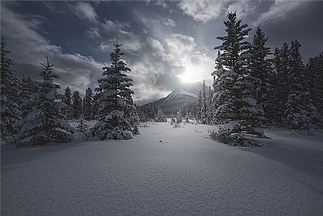 Winter in the Rocky mountain. Banff National Park, Alberta, Canada