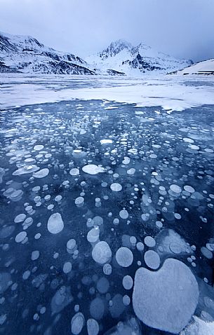 Air bubbles trapped on the frozen lake of Mont Cenis dam