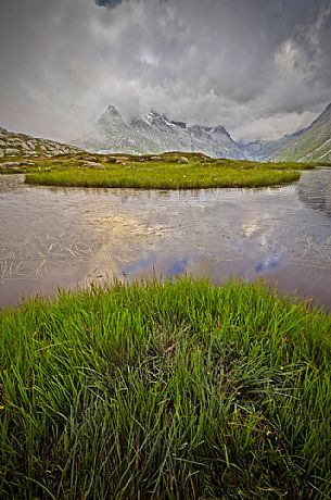 Grass islands in a puddle in front of the Roche d'Etache in Cenis Valley