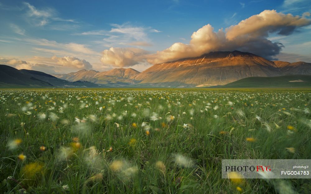 Land of whispering wind and wild flower