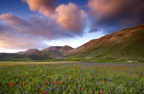 Wonderful summer sunset on the plain of Castelluccio di Norcia, during the flowering of the lentils.