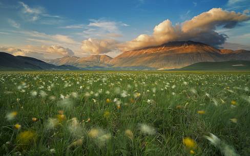 Land of whispering wind and wild flower