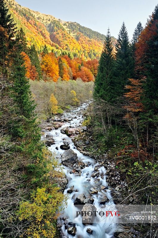 Chiars brook among the beech forest with autumn colors