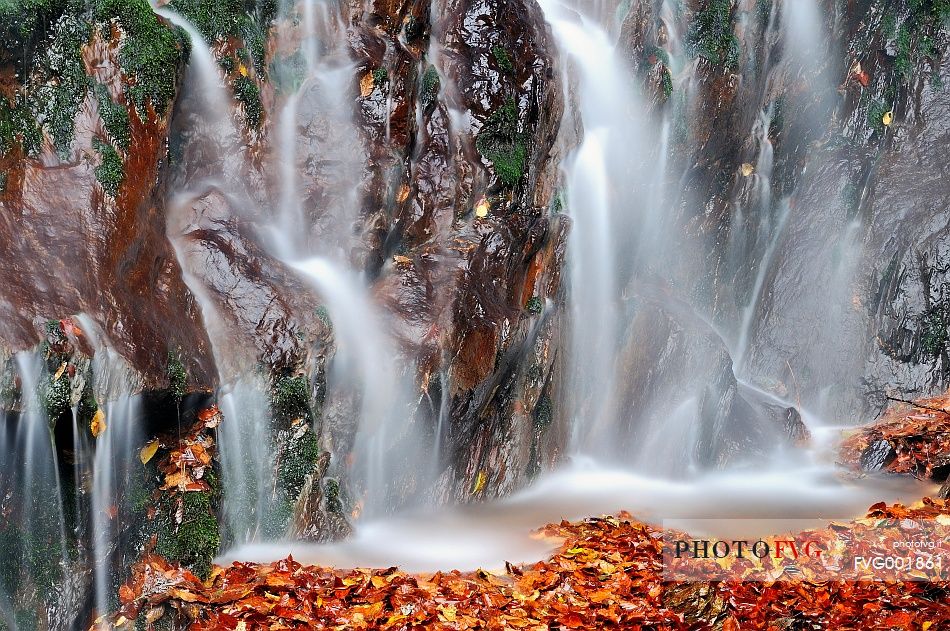 Autumn's end, Bandito di Gracco wood and leafs in a small waterfall
