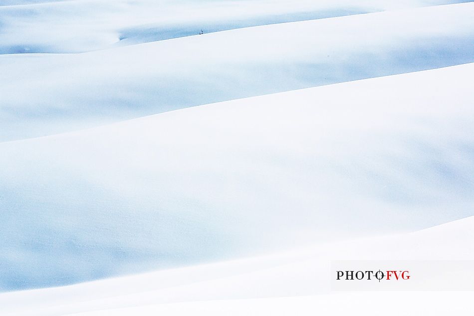 Forms and composition on snow field