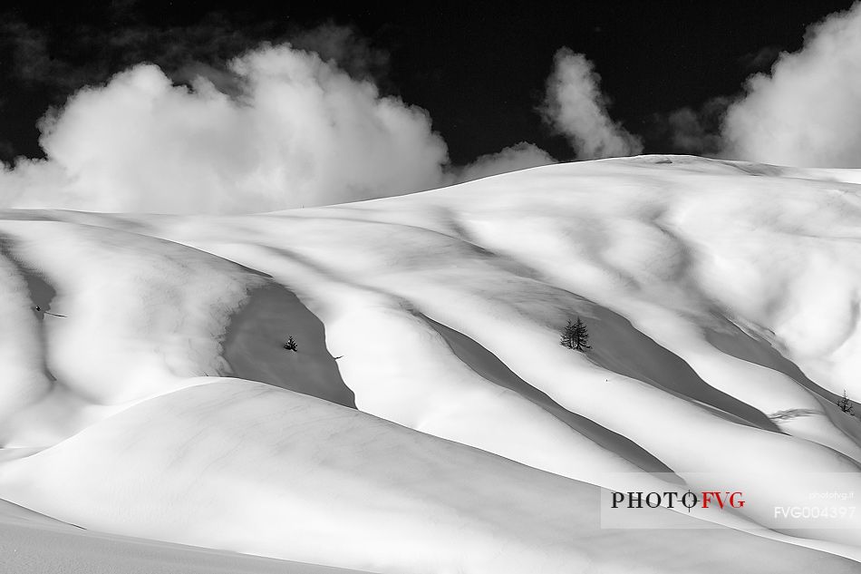 Forms and composition on snow field