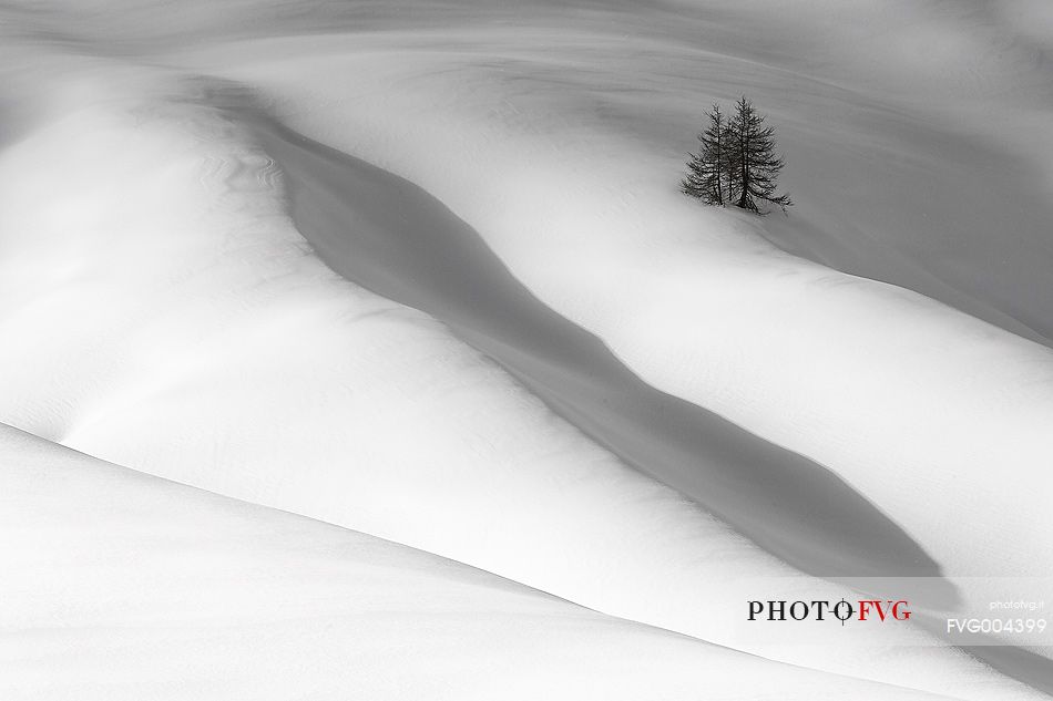 Forms and composition on snow field