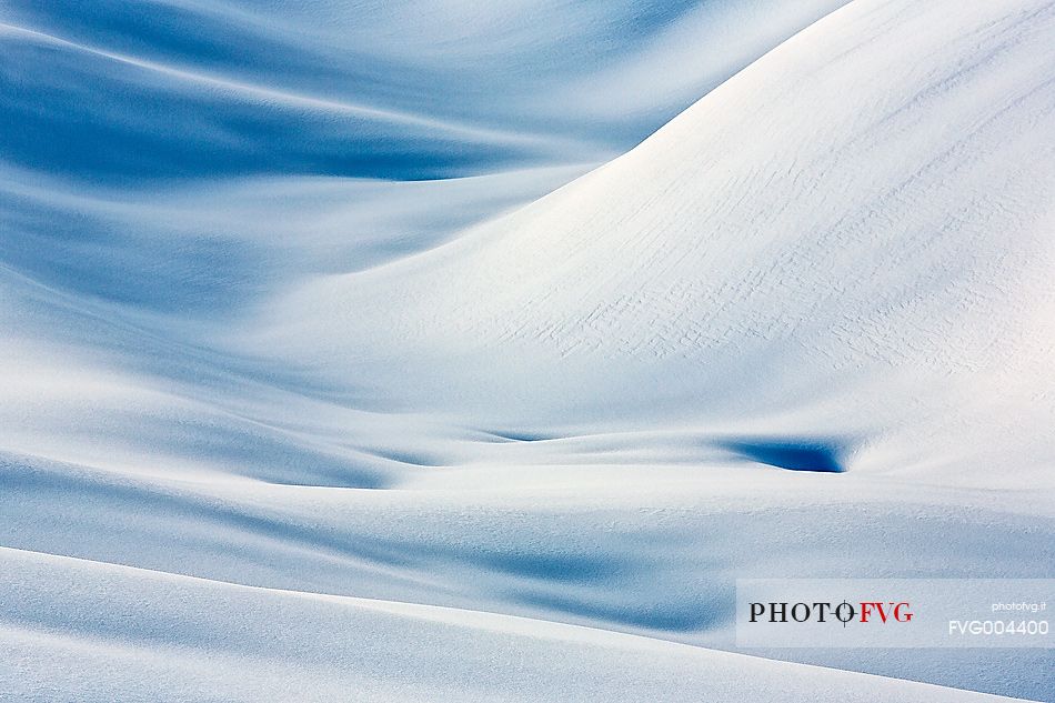 Forms and composition on snow field