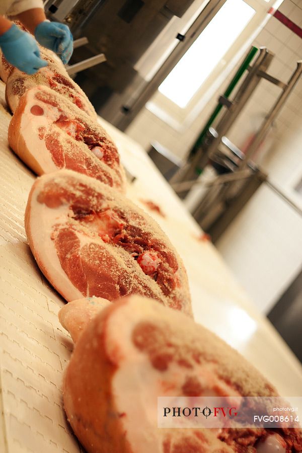 Processing hams in Wolf ham factory of Sauris