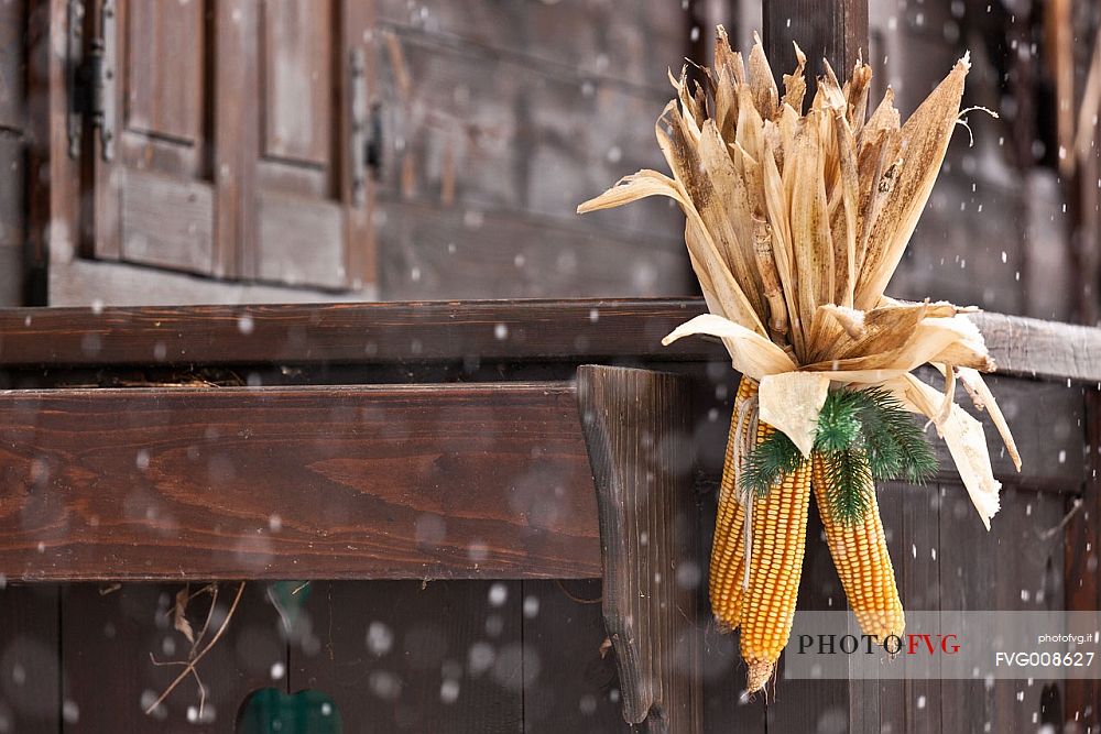 Decoration whith corn on the cop in a typical house of Sauris di Sotto