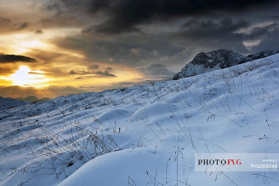 Mount Bivera and the beautiful winter landscape that you meet along the road from Sauris to Casera Razzo.