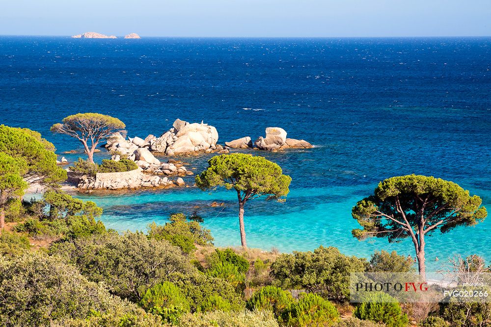 Tamaricciu beach, one of the most beautiful of Corse du Sud, Corsica