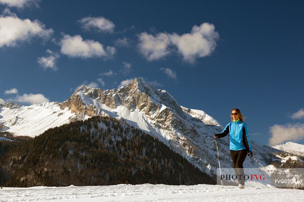 Cross-country skiing on the slopes of Sauris di Sopra , in the background the Monte Bivera , Sauris