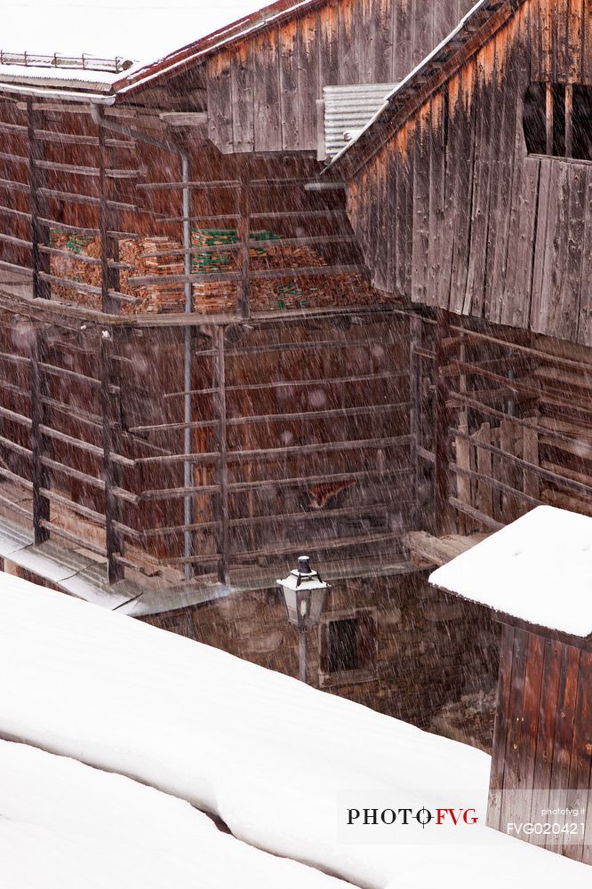 Under a snowfall a typical wooden building in alpine village of Sauris di Sotto