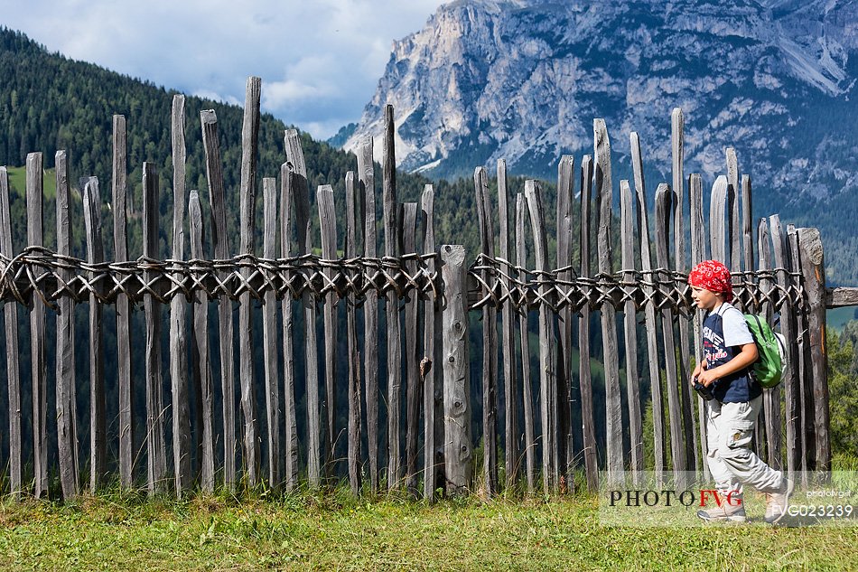 Child hiking in Badia Valley, South Tyrol, Dolomites, Italy
