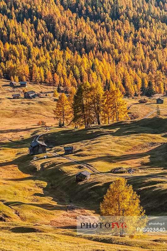Prati dell'Armentara alpine meadows with barns in autumn, South Tyrol, Dolomites, Italy
 