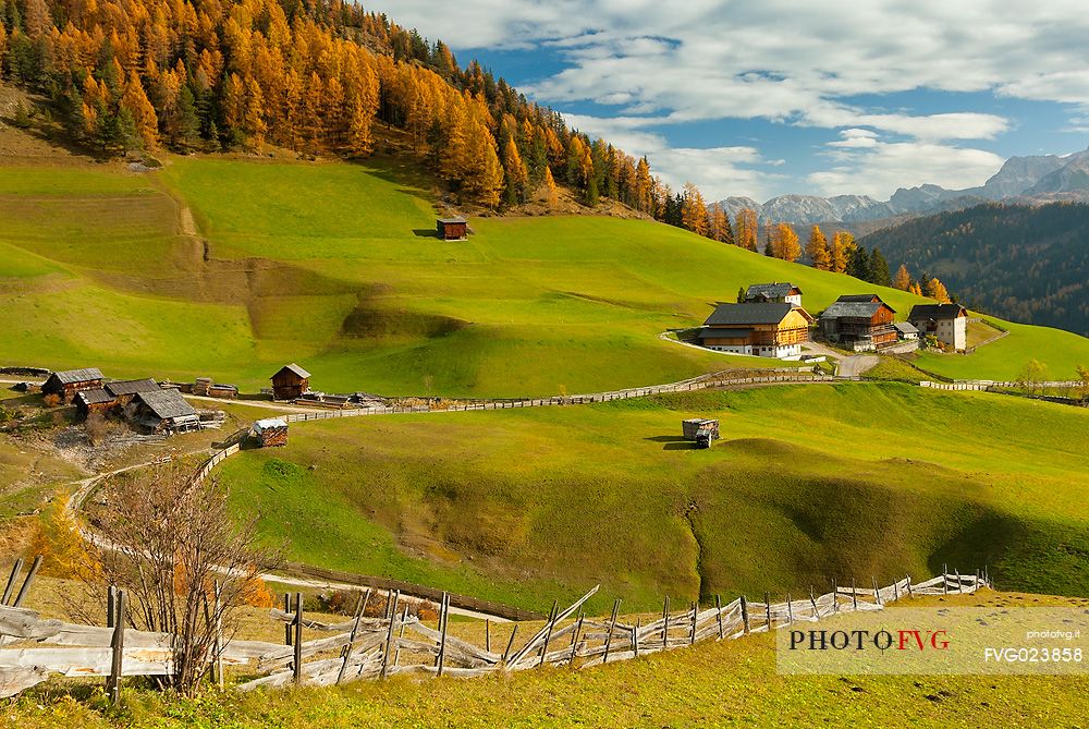 Longiar alpine meadows with farms and barns in autumn, South Tyrol, Dolomites, Italy, Valle dei Mulini, Badia Valley, Puez Odle Natural Park 