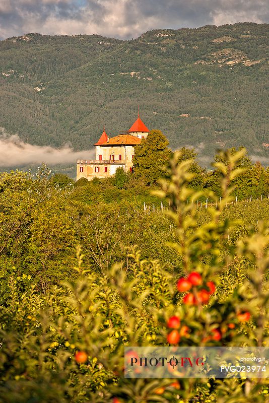 The castle of Casez and the apple trees in Val di Non, Trentino, Italy